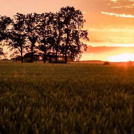 Gościniec Nad Wkrą Kwatera prywatna Bledowo (Nowy Dwor Mazowiecki)